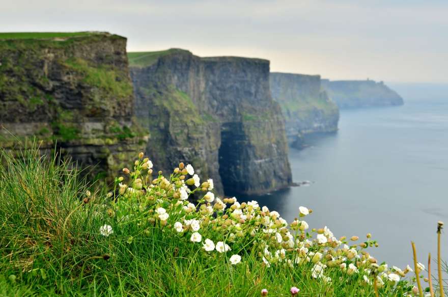 Irland Cliffs of Moher