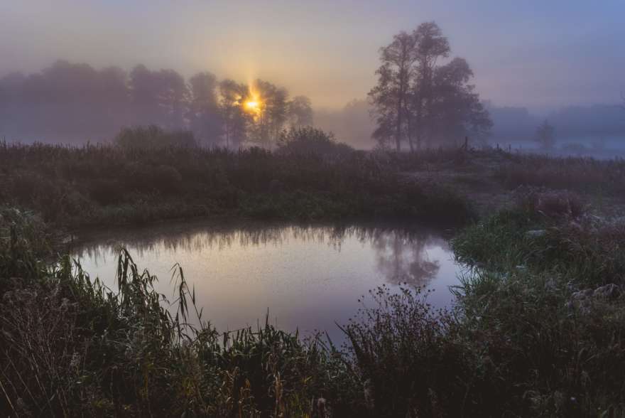 Kampinos Wald in Masowien in Polen