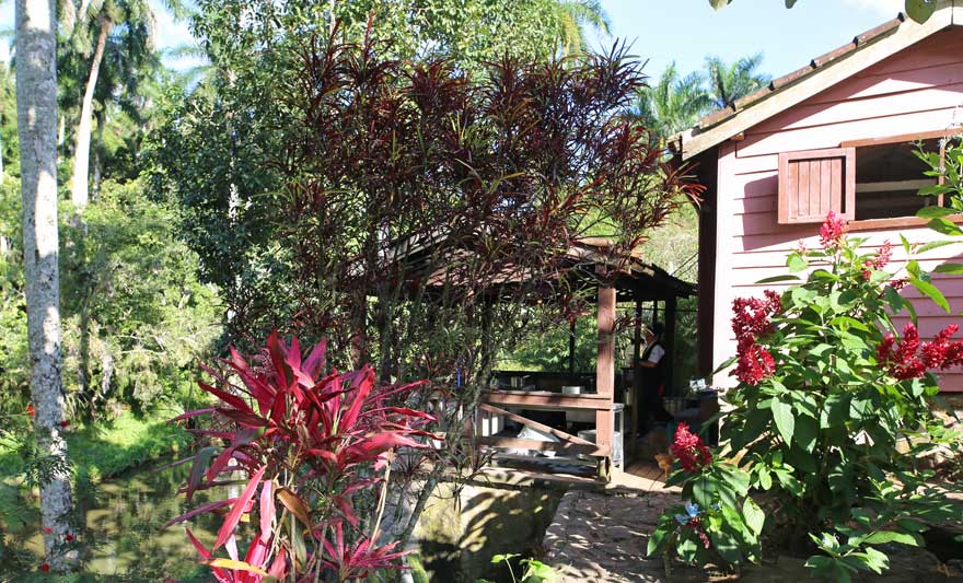 Mittagslocation in Topes de Collantes