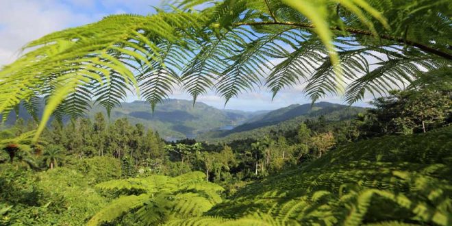 Ein Ausflug nach Topes de Collantes – Wandern, Natur und Kaffeeverkostung
