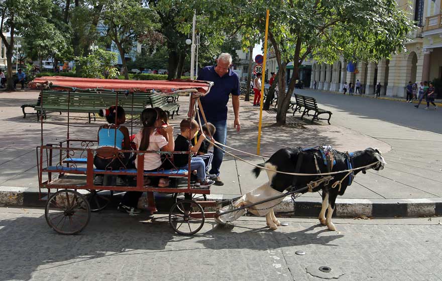 Ziegenwagen in Santa Clara