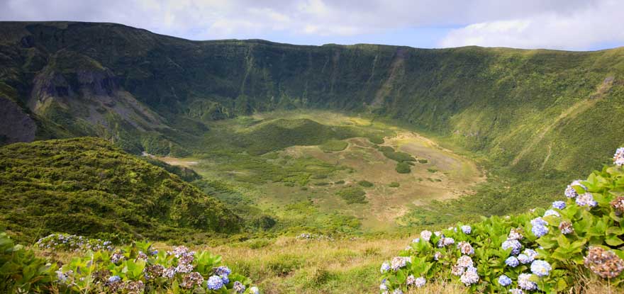 Hortensien-in-Faial