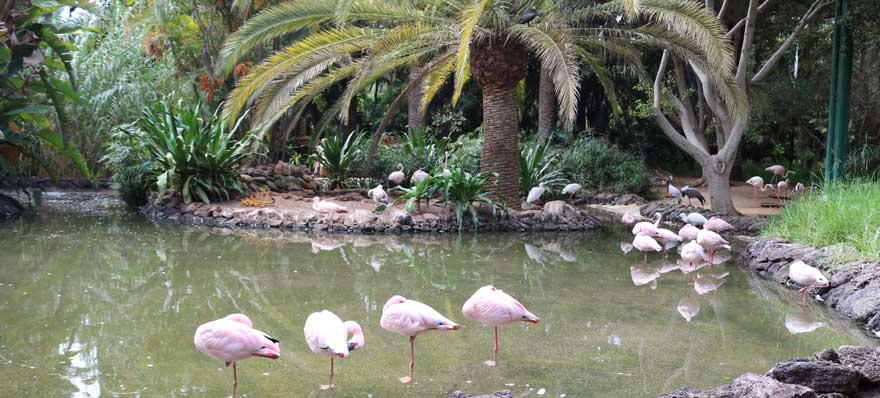 Oasis-Park