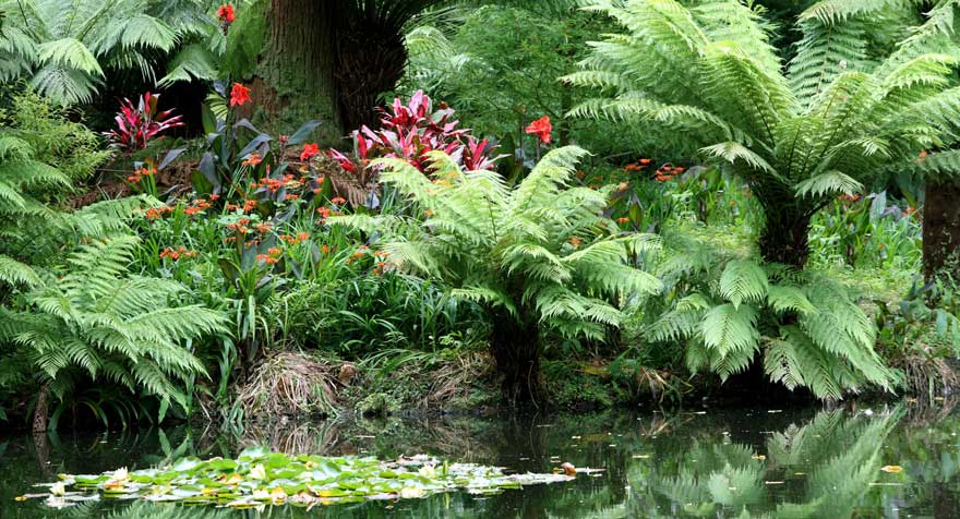 Terra-Nostra-Park-in-Furnas-auf-den-Azoren