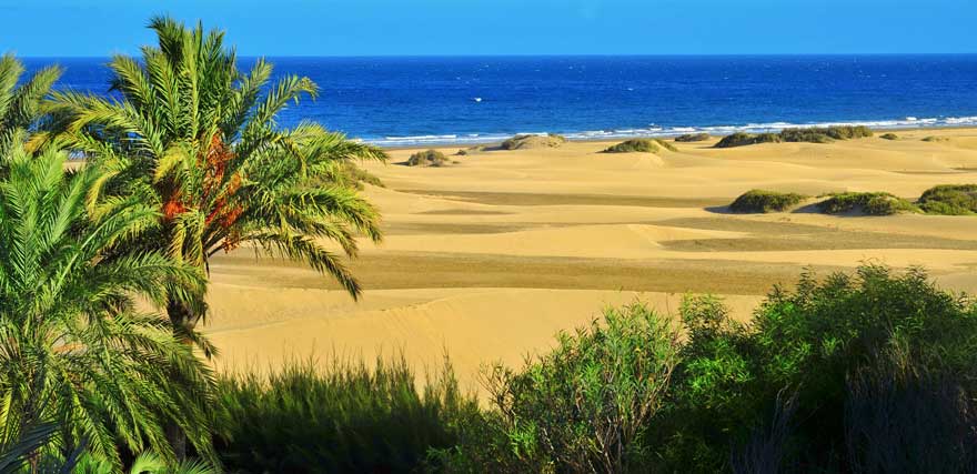 Strand Playa de Maspalomas auf Gran Canaria in Spanien
