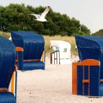 möwe fliegt über strandkörbe