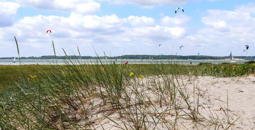 Hinter einer Salzwiese sieht man Kiter auf dem Wasser