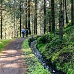 Wasser Wander Wege im Harz in Deutschland