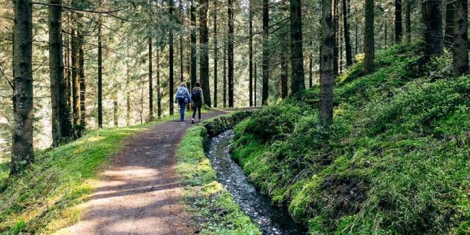 Wandern im Harz – Janas Tipps und Favoriten