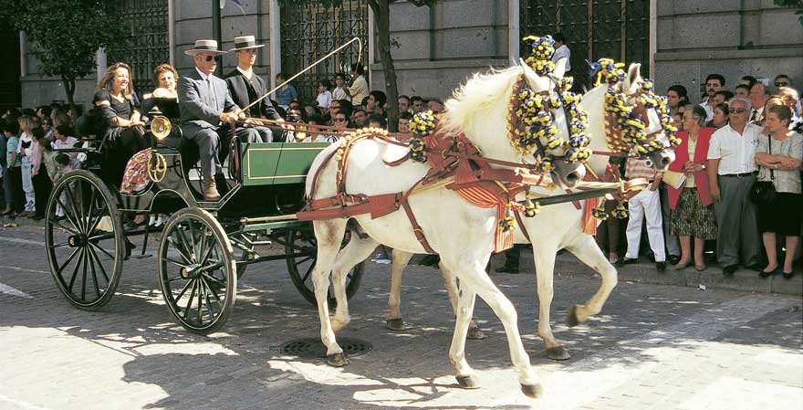 Jerez de la Frontera in Spanien