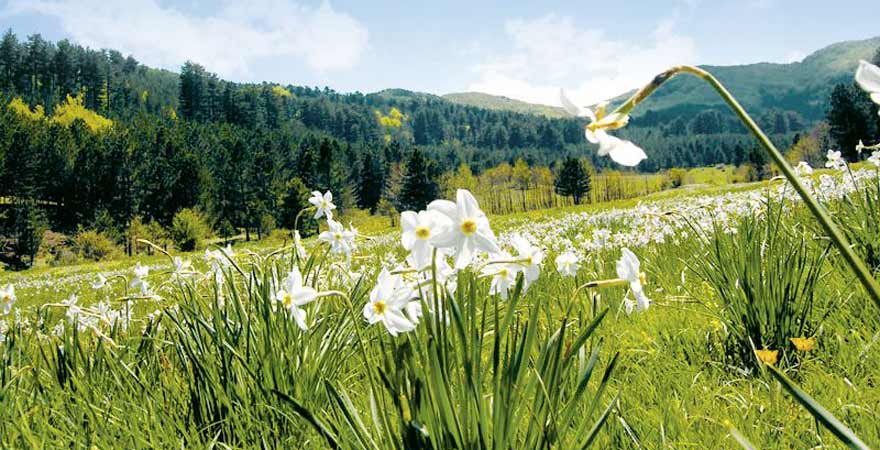 Sila Nationalpark in Kalabrien in Italien