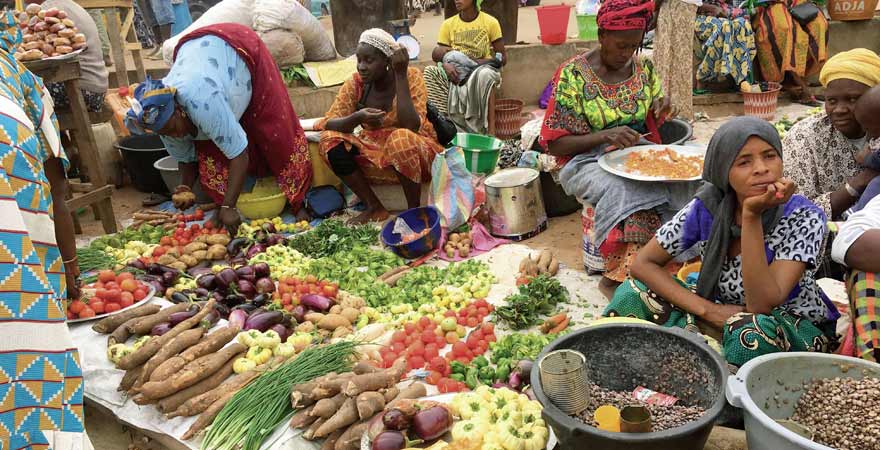 Kochkurs & Tanji Fisch-Markt in Gambia