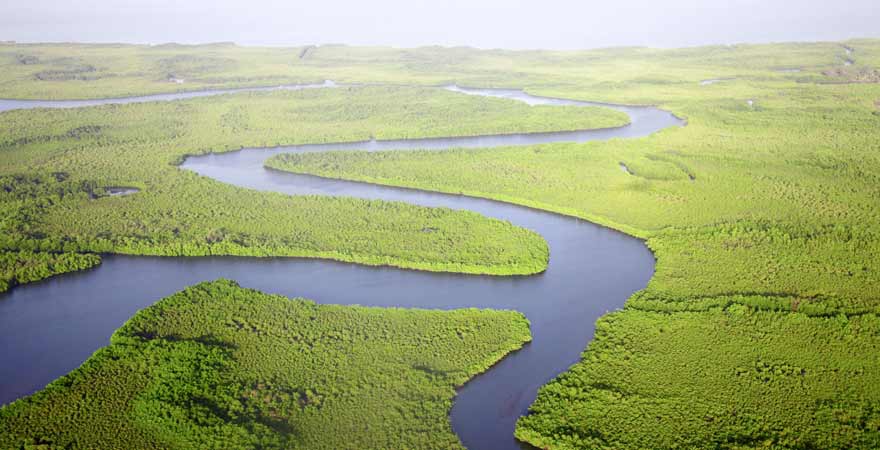 Gambia River