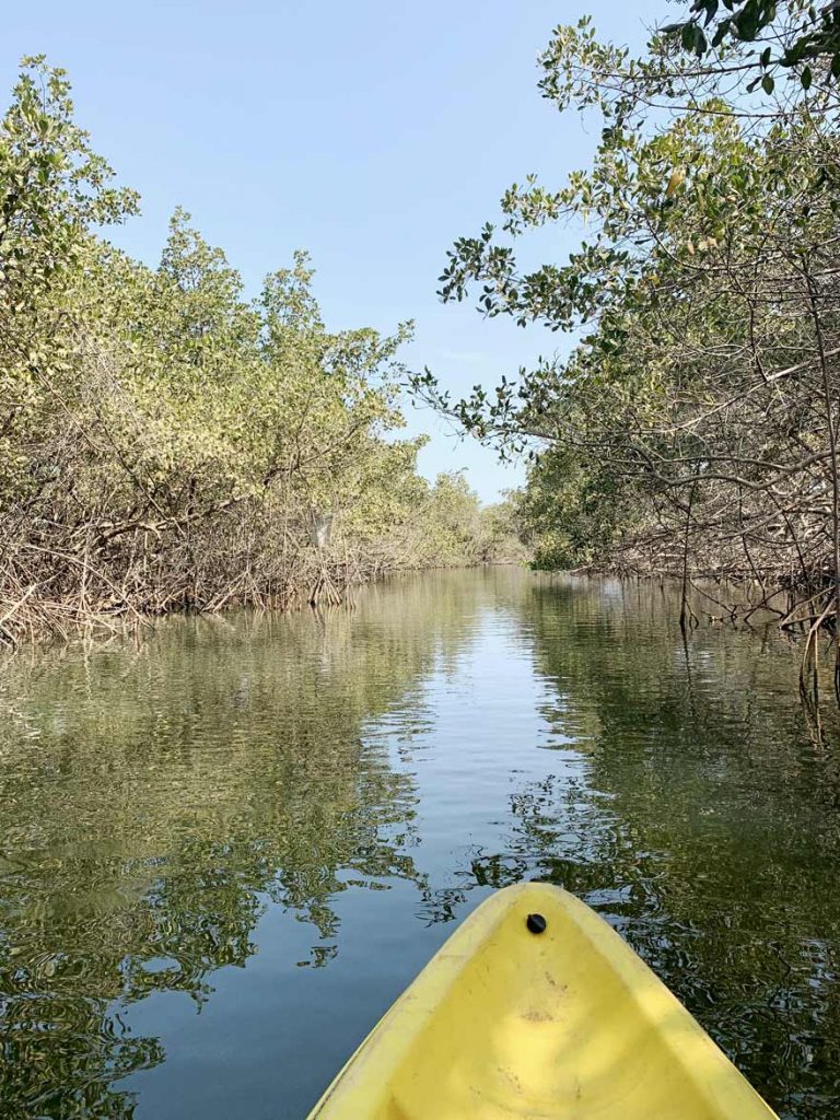 Kajakfahrt in Gambia