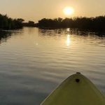 Kajakfahrt beim Sonnenaufgang auf dem Gambia River