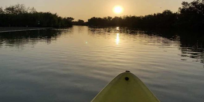 Gambia vom Wasser aus erkunden – Wir nehmen euch mit auf eine Kajaktour
