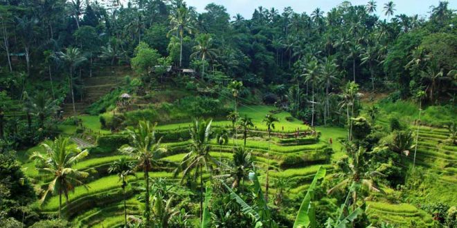 Die spannendsten und interessantesten Sehenswürdigkeiten auf Bali – Das sind Janas Favoriten!