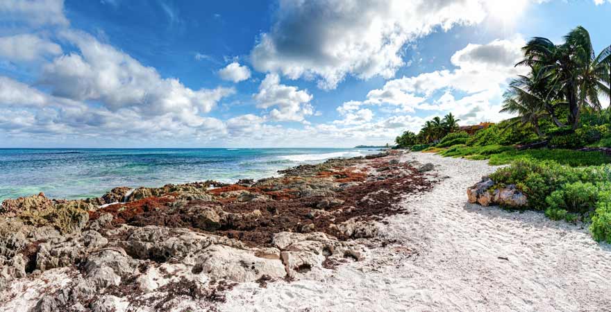 Akumal auf Yucatan in Mexiko