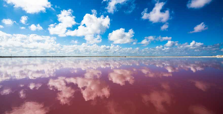 Las Coloradas auf Yucatan in Mexiko