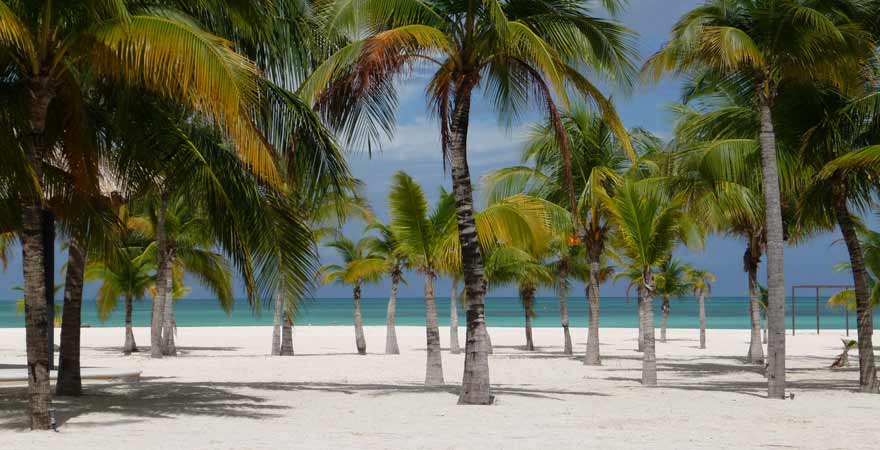 Isla Cozumel in Mexiko