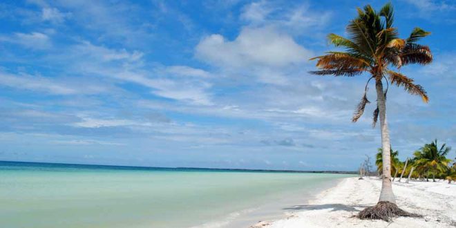 Auf Katamarantour in Kuba – Das sind die Highlights