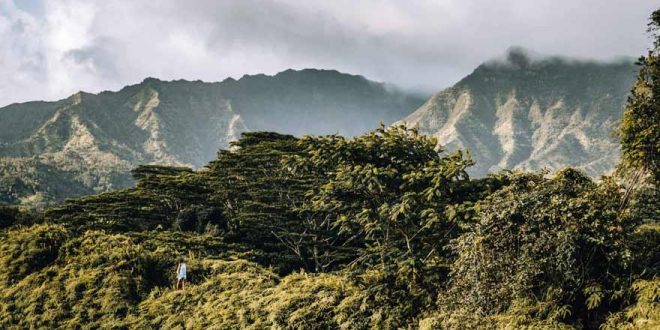 10 Gründe, warum sich eine Reise nach Hawaii lohnt