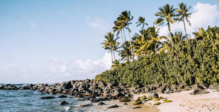 North Shore auf Oahu in Hawaii