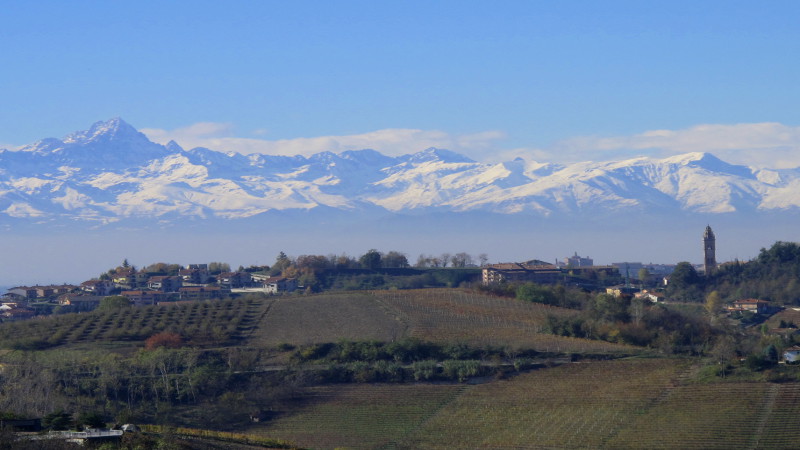 monforte d'alba im piemont in italien