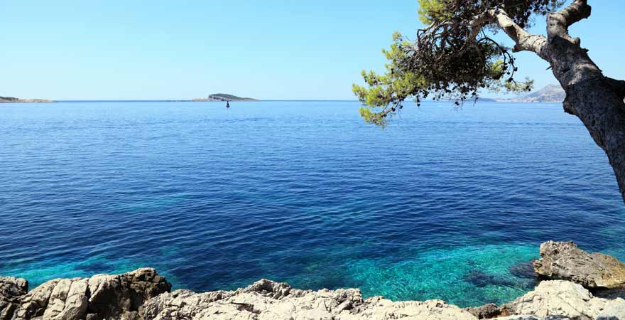 Cavtat Island bei Dubrovnik in Kroatien
