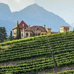 Haus auf einem Weinberg in Italien