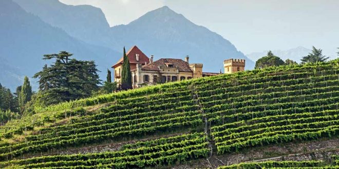 Törggelen in Südtirol – Kulinarische Wanderungen zwischen Meran und dem Kalterer See