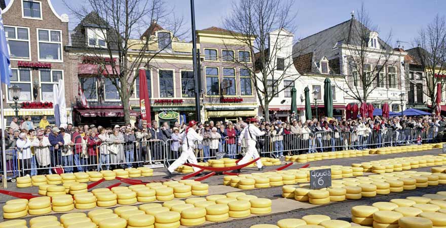 Käsemarkt in Alkmaar in den Niederlanden