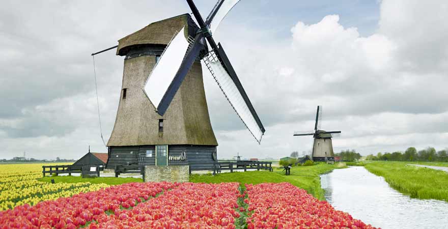 Tulpen und Winmühlen entlang des Slingerpad in den Niederlanden