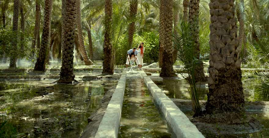 Al Ain Oase in Abu Dhabi