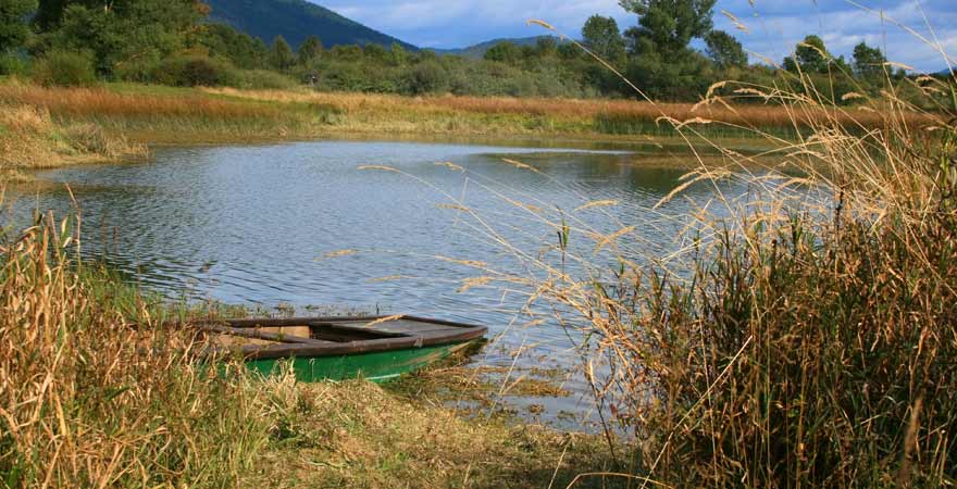 Cerkniško jezero in Slowenien