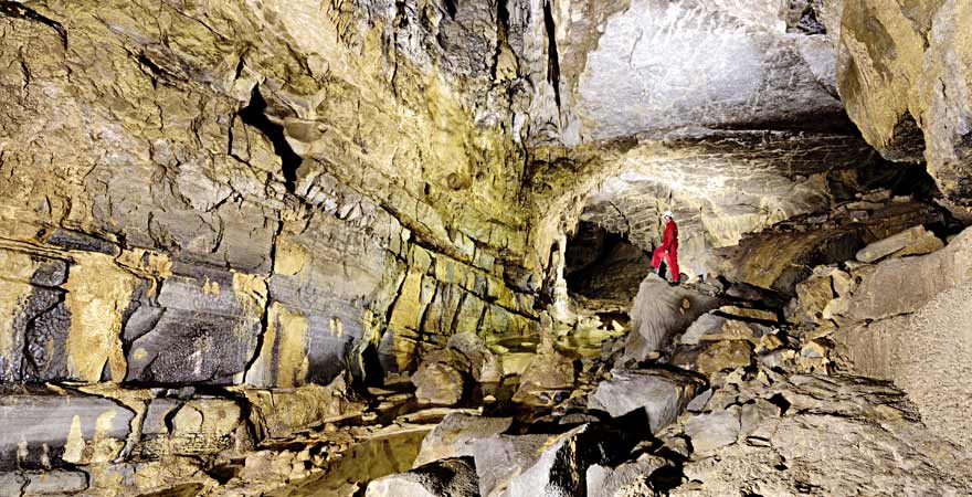 Postojna Höhle in Slowenien