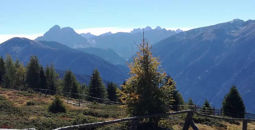 Rodenecker Alm in Südtirol