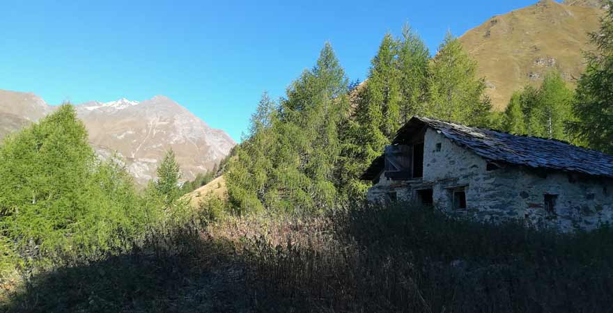 Wanderung zur Seespitze in Südtirol