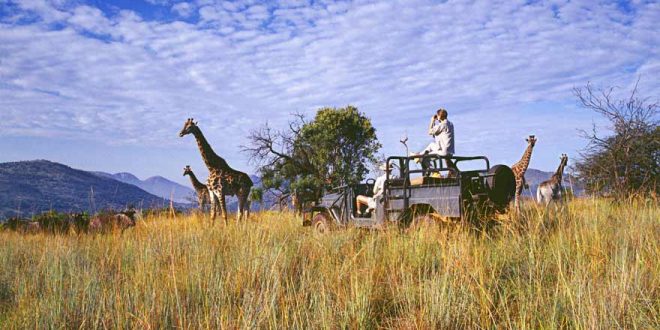 14 spektakuläre Orte für eine Safari