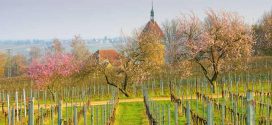 Farbenpracht und Lebenslust – Tipps für euren Frühlingsurlaub in Deutschland