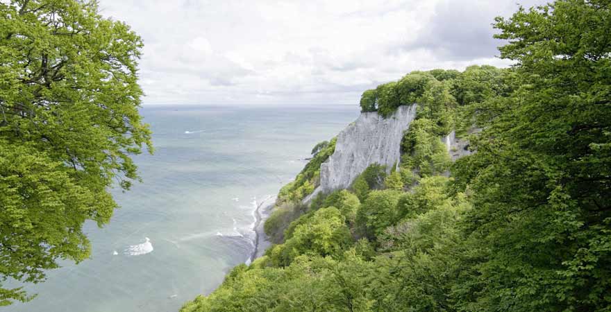 Königsstuhl im Nationalpark Jasmund auf Rügen