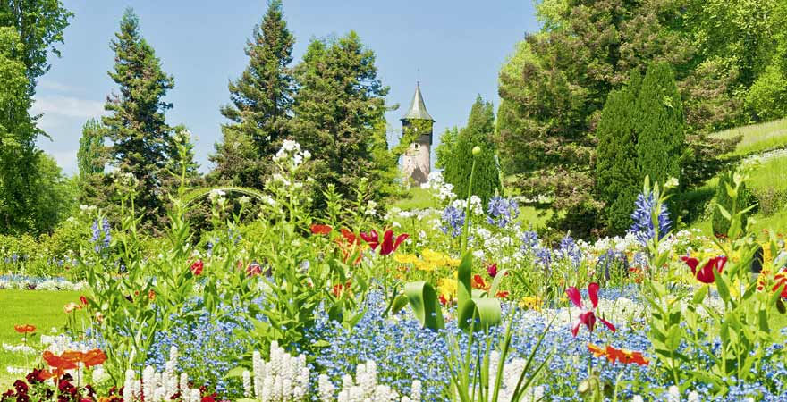 Mainau am Bodensee in Deutschland