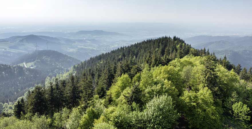 Berg im Schwarzwald