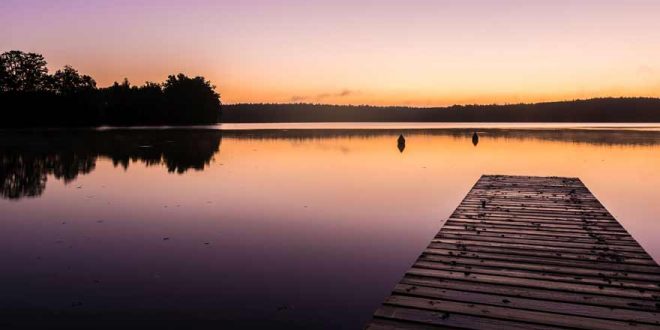 Natur pur: Unsere Reisetipps für den Müritz Nationalpark