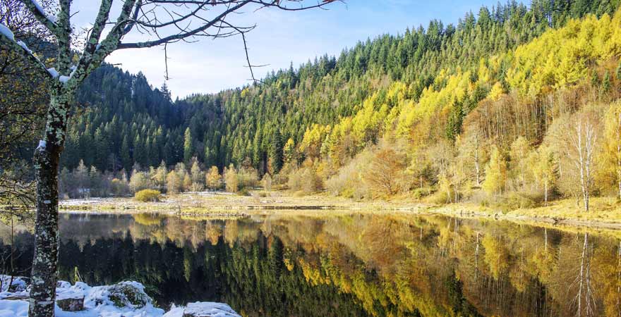 See im Winter im Schwarzwald