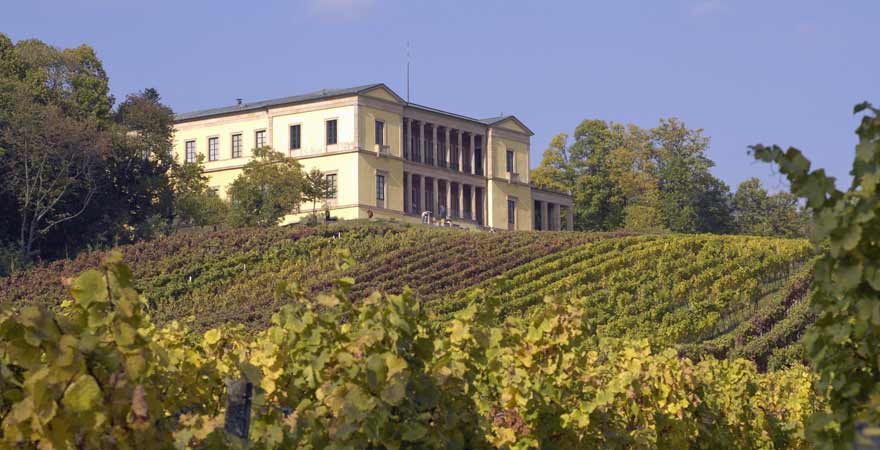 Villa Ludwigshöhe mit Weinstöcken an der Südlichen Weinstraße in der Pfalz