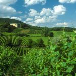 Villa Ludwigshöhe mitten in den Weinhügeln der Pfalz an der Südlichen Weinstraße