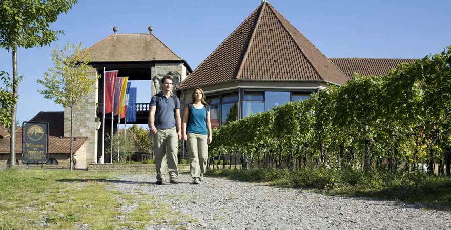 Wandern am Weintor an der Südlichen Weinstraße in der Pfalz