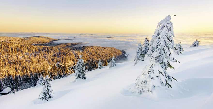 Winter und Schnee im Schwarzwald