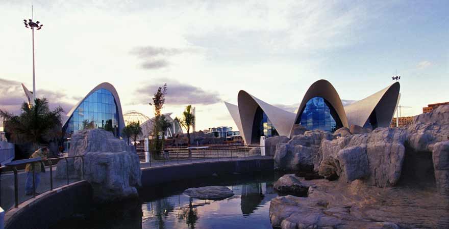 The Oceanographic in der Ciutat de les Arts et Ciencies in Valencia